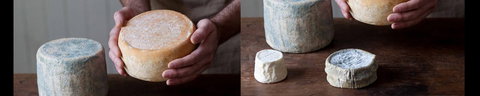 Cheese Making Basics Class - Kingaroy Accommodation 0