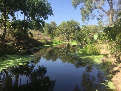 Conservation Volunteers Australia Townsville - Creekwatch - Kingaroy Accommodation 0