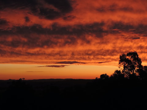 Father's Day At Cottontail Wines - Kingaroy Accommodation 0