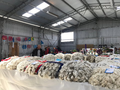 Flinders Island Show - Kingaroy Accommodation 2