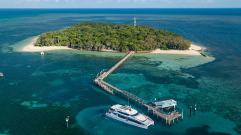 Great Adventures Green Island Ocean Swim - Kingaroy Accommodation 0