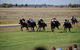 Jerilderie Gold Cup Races - thumb 0