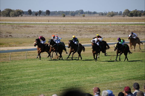 Jerilderie Gold Cup Races - Kingaroy Accommodation 0