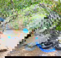 Jungle Love Festival - Kingaroy Accommodation
