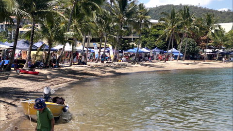 Lions Airlie Beach Community Markets - Kingaroy Accommodation 0