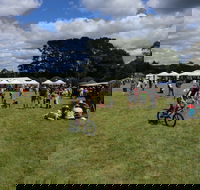 Majors Creek Festival - Kingaroy Accommodation