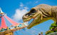 Mega Creatures At Hunter Valley Gardens - Postponed - thumb 0