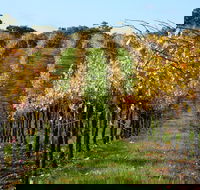 Miners Ridge Wine Tasting - Kingaroy Accommodation