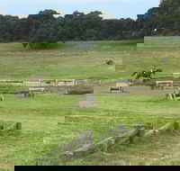 Mount Gambier and District Pony Club Horse Trials 2020 - Kingaroy Accommodation