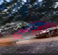 Narooma Forest Rally - Kingaroy Accommodation