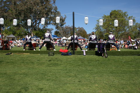 Sakura Matsuri  - Cherry Blossom Festival - In Doubt Due To Covid-19 - Kingaroy Accommodation 0
