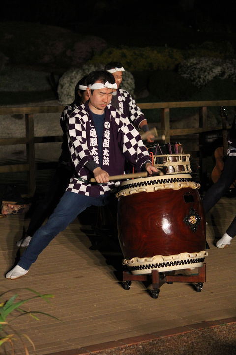 Sakura Matsuri  - Cherry Blossom Festival - In Doubt Due To Covid-19 - Kingaroy Accommodation 1