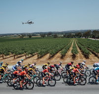 Santos Tour Down Under - Kingaroy Accommodation