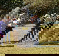 Sculpture for Clyde - Outdoor Exhibition - Kingaroy Accommodation