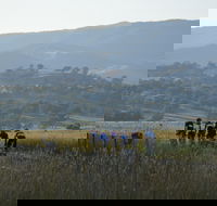 Tumut Cycle Classic - Kingaroy Accommodation