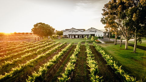 Aged Wine And Vintage Pies - Kingaroy Accommodation 2