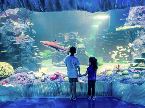 Sydney's Aquarium - Kingaroy Accommodation 1