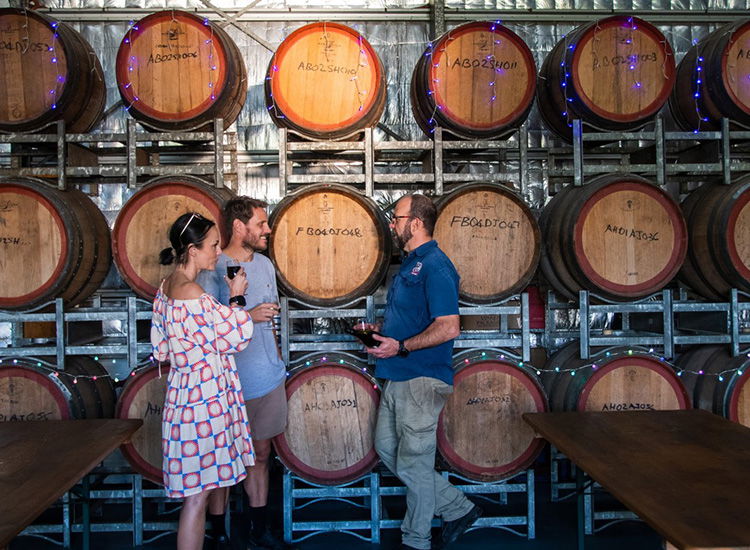 Wine and Food Experience at Various Wineries