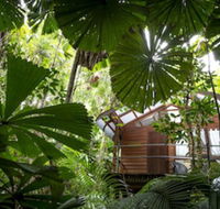 Daintree Wilderness Lodge - Kingaroy Accommodation