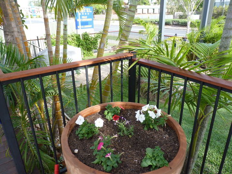 Caboolture Central Motor Inn, SureStay Collection By BW - Kingaroy Accommodation 6