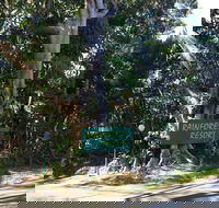 Byron Bay Rainforest Resort - Kingaroy Accommodation
