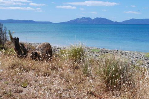 Schouten House - Kingaroy Accommodation 1