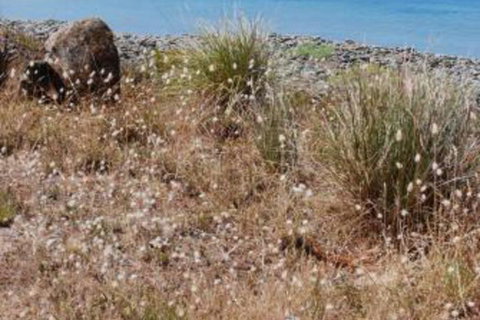 Schouten House - Kingaroy Accommodation 0