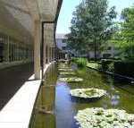 ANU University House Hotel - Kingaroy Accommodation