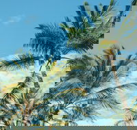 Base Magnetic Island Hostel - Kingaroy Accommodation