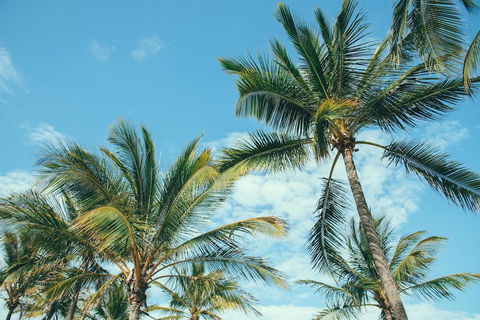 Base Magnetic Island Hostel - Kingaroy Accommodation 0