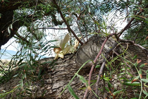 Swansea Motor Inn - Kingaroy Accommodation 1