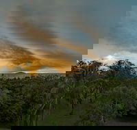 Ocean International - Kingaroy Accommodation