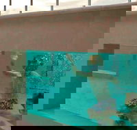 Novotel Brisbane Airport - Kingaroy Accommodation