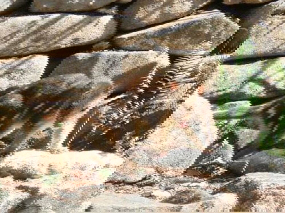 Kingaroy Accommodation