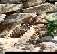 Jenolan Caves House - Kingaroy Accommodation