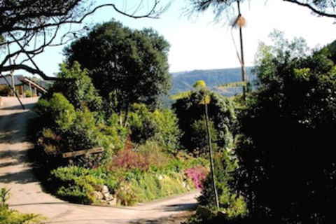 Top Of The Hill - Kingaroy Accommodation 3