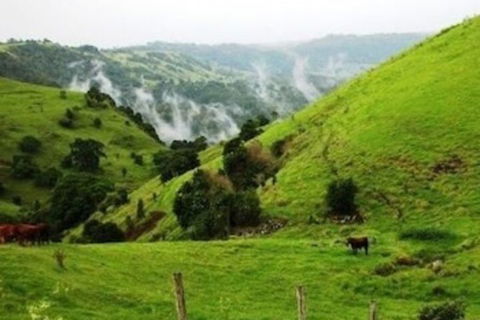 Top Of The Hill - Kingaroy Accommodation 1