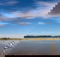 Discovery Parks - Harrington - Kingaroy Accommodation