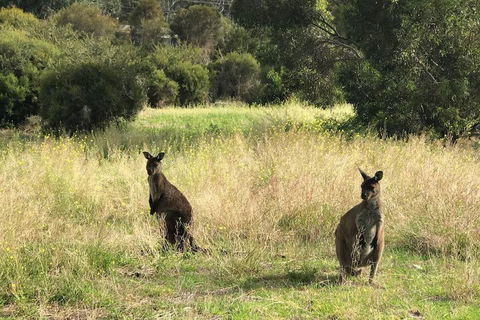 Sunrise On Falie - Kingaroy Accommodation 5