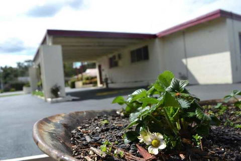 Wattle Motel - Kingaroy Accommodation 2