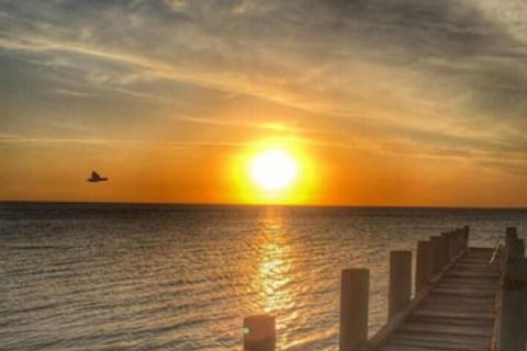 Island Quarters - Kingaroy Accommodation 5