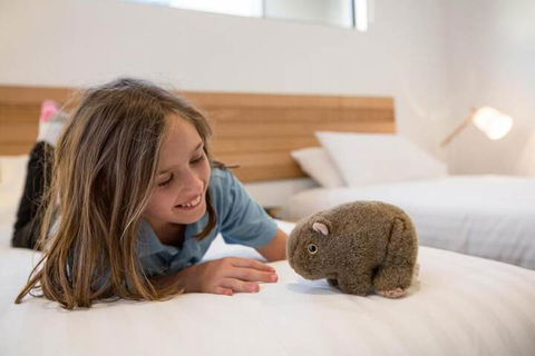 Island Quarters - Kingaroy Accommodation 3