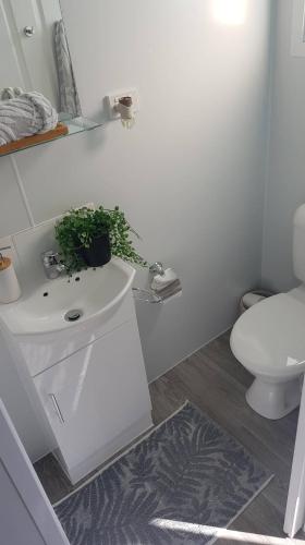 Ceespray On Owen - Kingaroy Accommodation 4