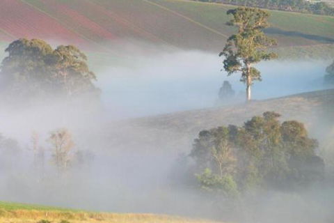 SIGNAL BOX Short Stay - Kingaroy Accommodation 4
