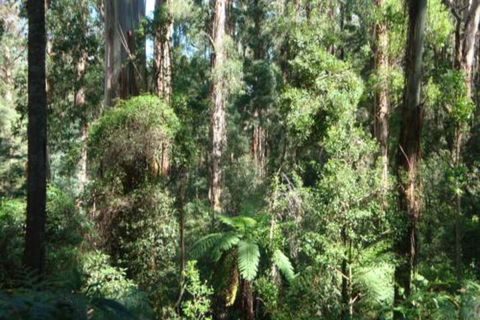 SIGNAL BOX Short Stay - Kingaroy Accommodation 3