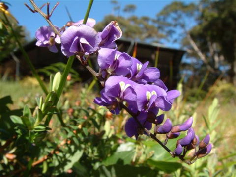 The Coombe On Wilson Inlet - Kingaroy Accommodation 4