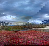 Saintys Creek Cottage - Kingaroy Accommodation