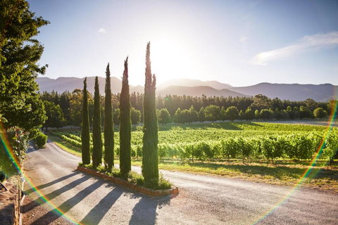 Feathertop Winery - Kingaroy Accommodation 5