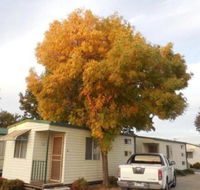 Wodonga Caravan  Cabin Park - Kingaroy Accommodation