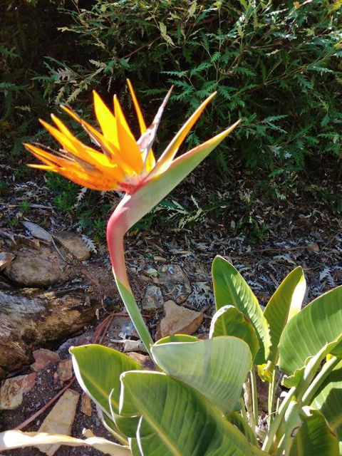 Blue Waters Holiday Cottages For 2 - Kingaroy Accommodation 4
